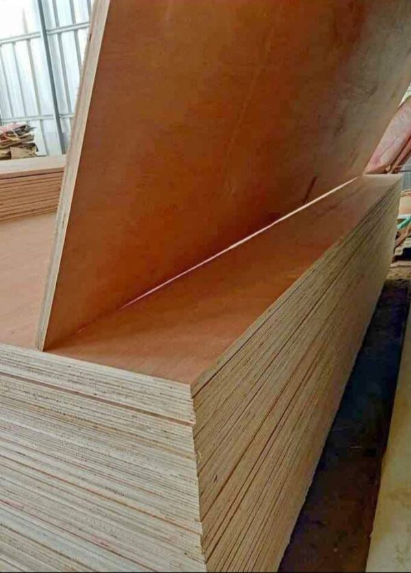 menjual kayu borneo&plywood - Image 3