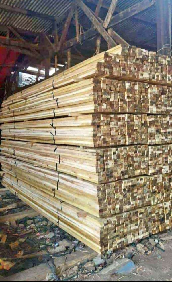 menjual kayu borneo&plywood - Image 2