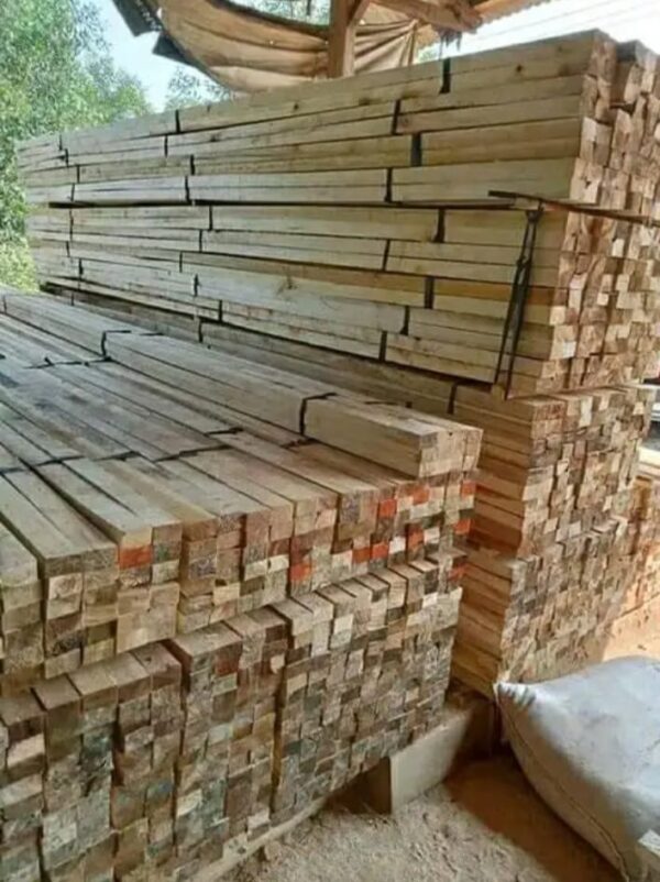 menjual kayu borneo&plywood