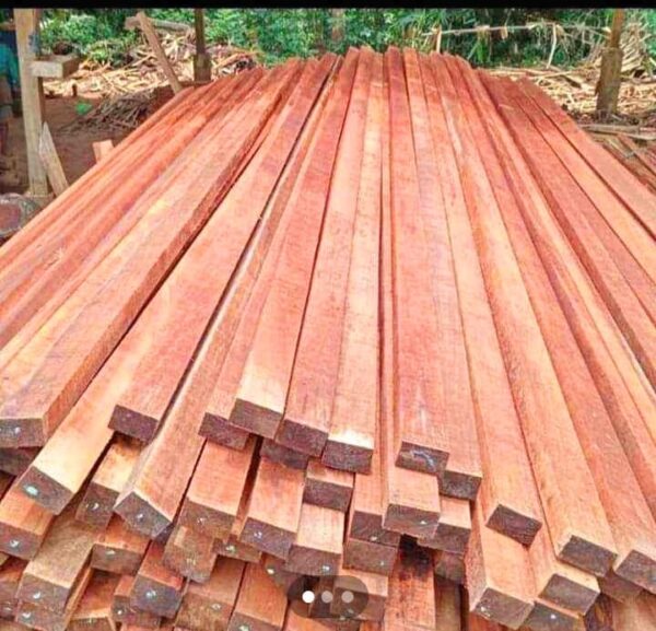 jual kayu meranti ukuran 4x6x400cm - Image 5