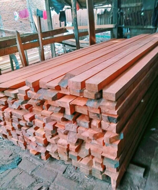 menjual kayu meranti - Image 3