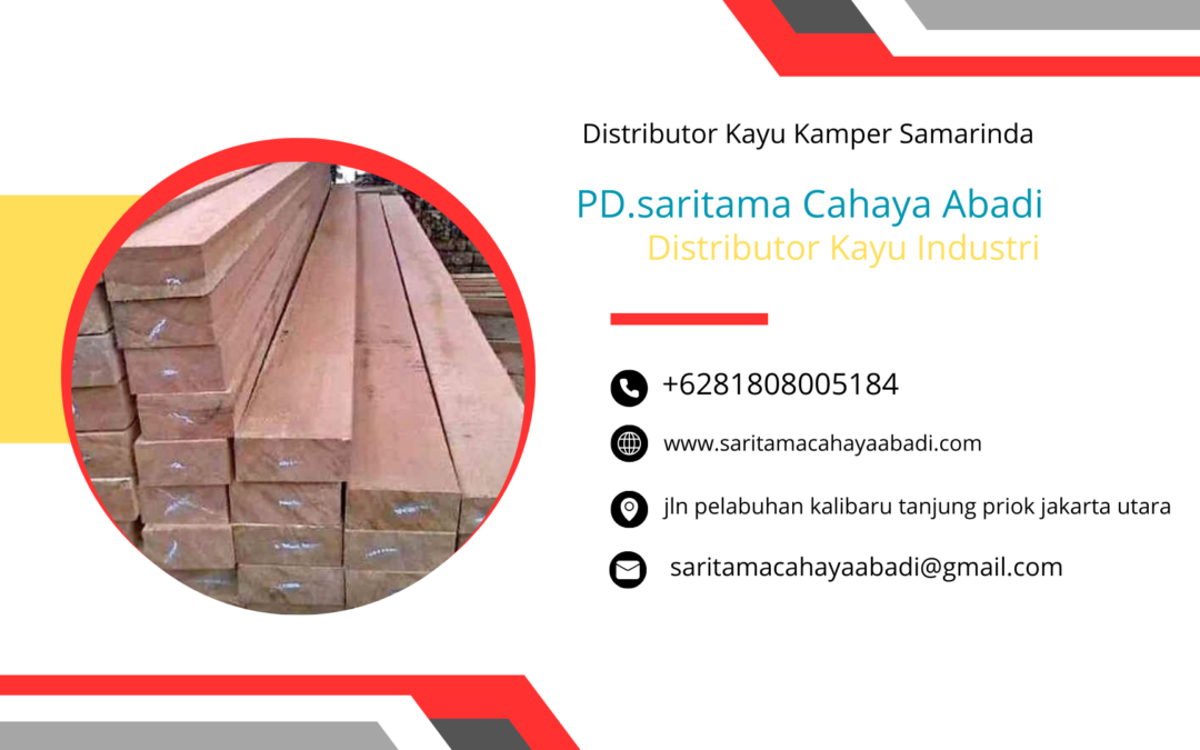 Distributor Kayu Kamper Samarinda