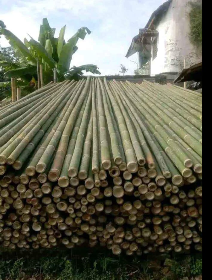 Distributor Bambu Terlengkap Jakarta