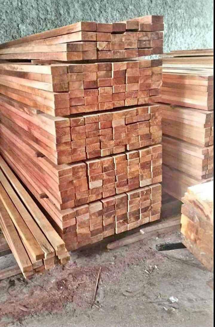 Distributor Berbagai Jenis Kayu