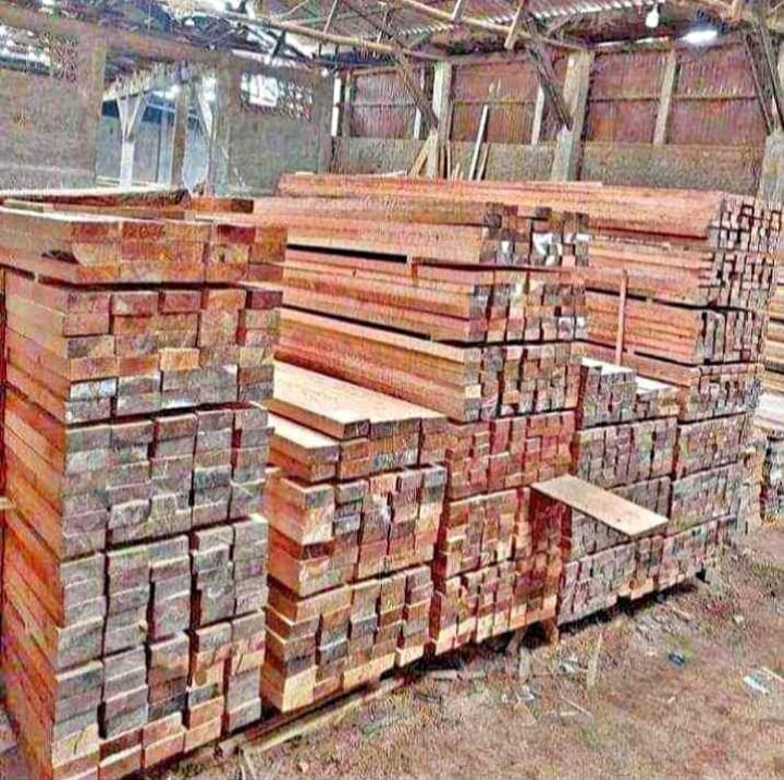 Distributor Kayu Industri Terlengkap