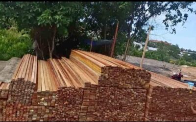 Distributor Kayu Meranti Jakarta