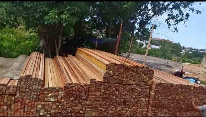 Distributor Kayu Meranti Jakarta